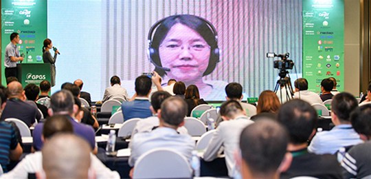 當(dāng)豬肉價格下降后，哪些替代肉類最可能被“擠出”？