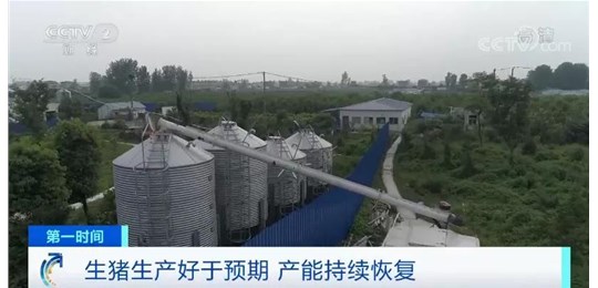 央視：1頭豬賺2200元！生豬產(chǎn)能恢復(fù)好于預(yù)期，豬價超前期高點(diǎn)將不再可能？